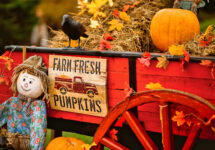 Farm Fresh Pumpkins