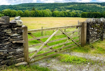 Farm Gate Jigsaw Puzzle