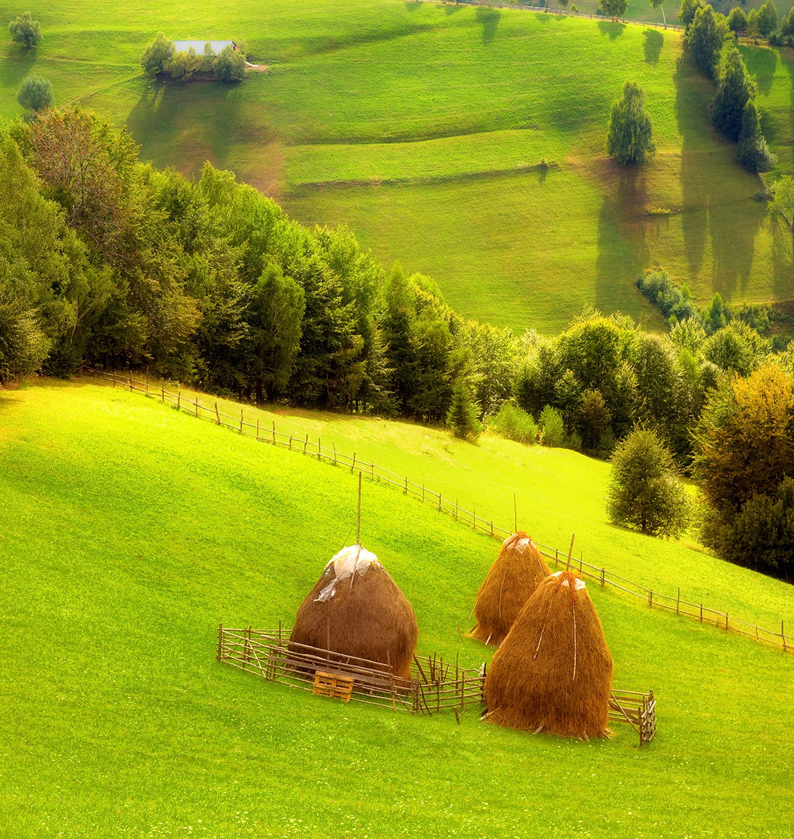 Farm Haystacks Jigsaw Puzzle