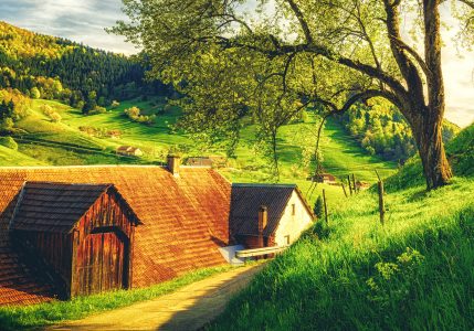 Farm Lane Jigsaw Puzzle