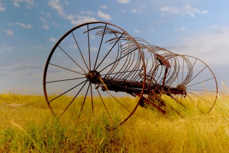 Farm Rake Jigsaw Puzzle