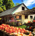 Farm Stand