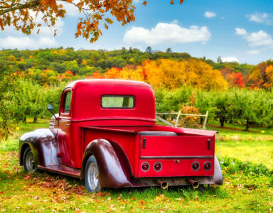 Farm Truck Jigsaw Puzzle