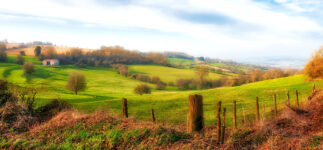 Farmcote Landscape