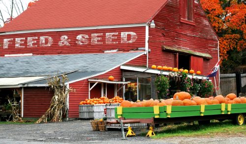 Feed and Seed Jigsaw Puzzle