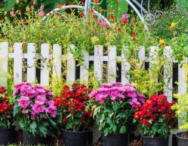 Fence and Flowers Jigsaw Puzzle