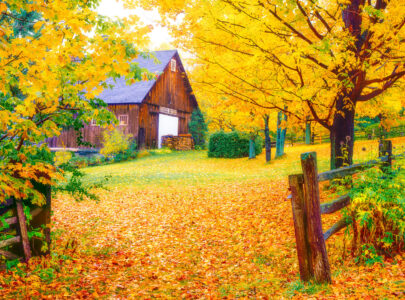 Fenced Barn Jigsaw Puzzle