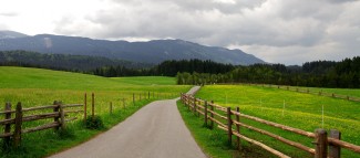 Fenced Meadow