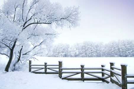 Fenced Snowscape Jigsaw Puzzle