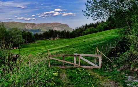 Field Gate Jigsaw Puzzle