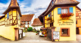 Fine Wines Store