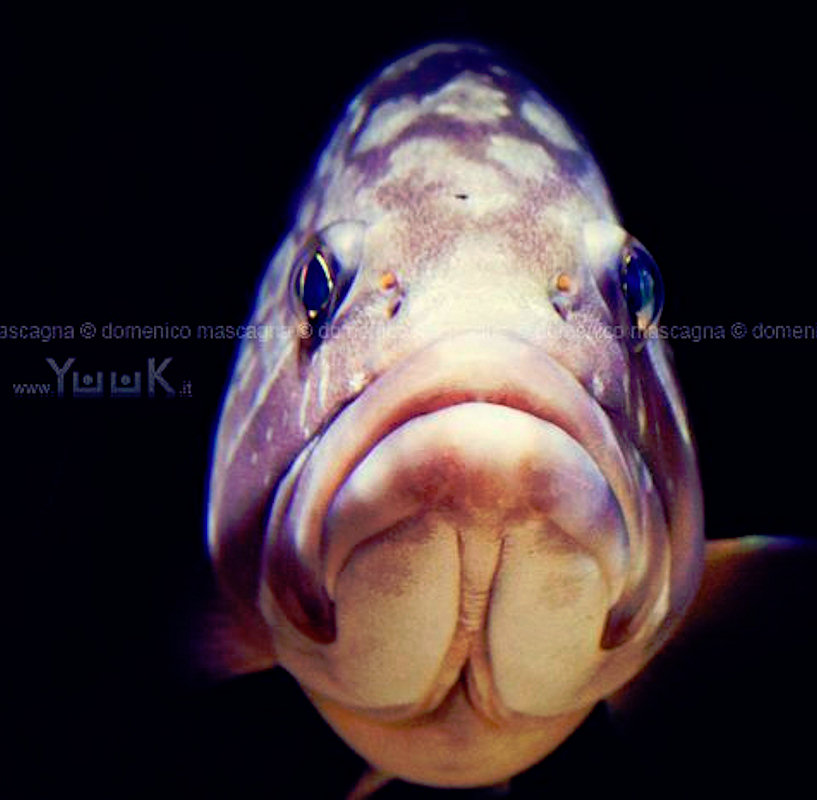 My Image 2