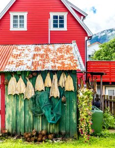 Fish Shed Jigsaw Puzzle