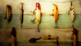 Fishing Lures