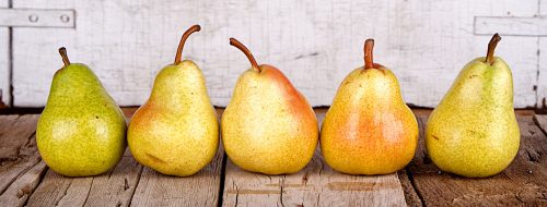 Five Pears Jigsaw Puzzle