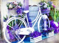 Floral Bike