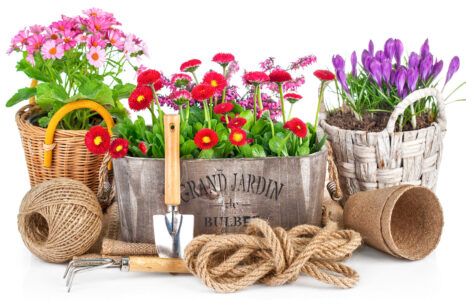 Flower Baskets Jigsaw Puzzle