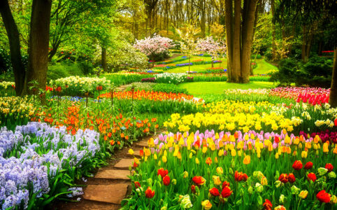 Flower Beds Jigsaw Puzzle