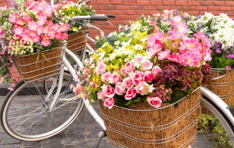 Flower Bike Jigsaw Puzzle