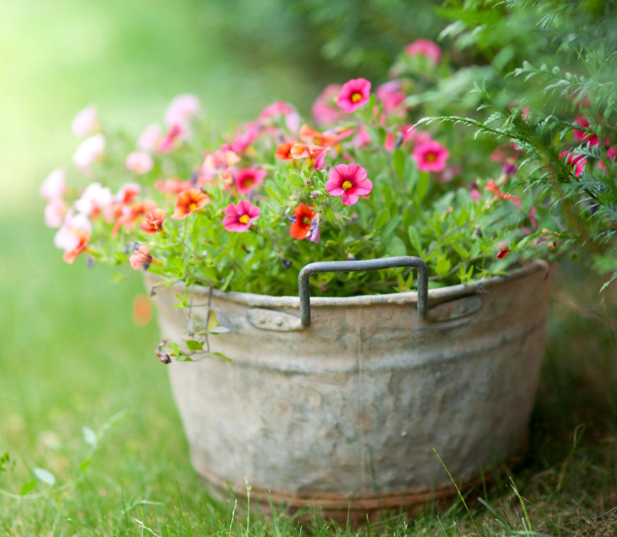 Flower Bucket Jigsaw Puzzle