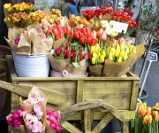 Flower Cart