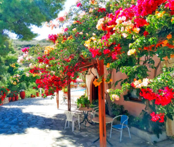 Flower Covered Patio Jigsaw Puzzle