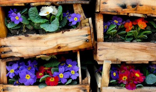 Flower Crates Jigsaw Puzzle