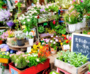 Flower Display