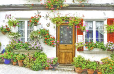 Flower Facade