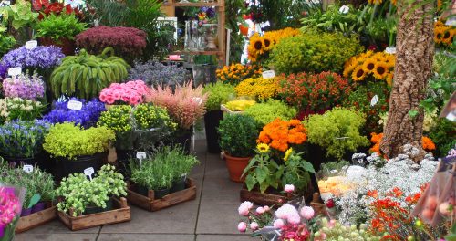 Flower Market Jigsaw Puzzle