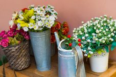 Flower Pots and Cans