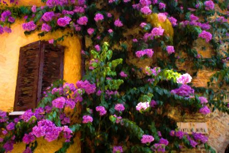 Flowering Wall Jigsaw Puzzle