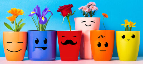 Flowers and Faces Jigsaw Puzzle