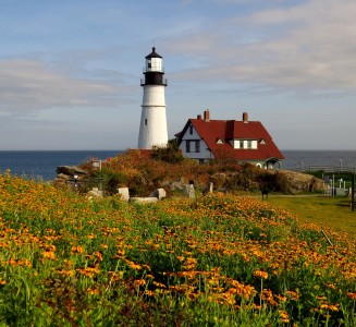 Flowers and Lighthouse Jigsaw Puzzle