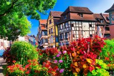 Flowers in Colmar