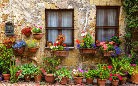 Flowers in Pots Jigsaw Puzzle