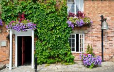 Flowery Entrance