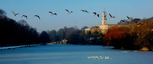 Flying Geese Jigsaw Puzzle