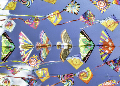 Flying Kites Jigsaw Puzzle