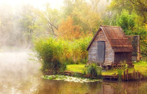 Foggy Pond Jigsaw Puzzle