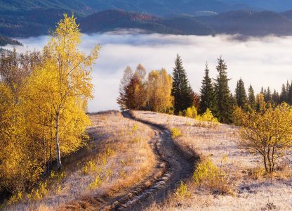 Foggy Valley Jigsaw Puzzle