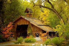 Forest Barn