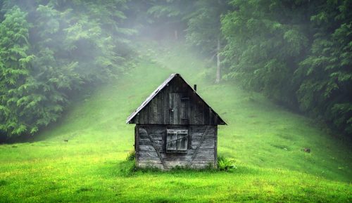 Forest Cabin Jigsaw Puzzle