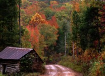 Forgotten Cabin