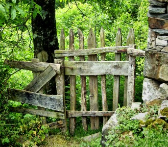 Forgotten Gate Jigsaw Puzzle