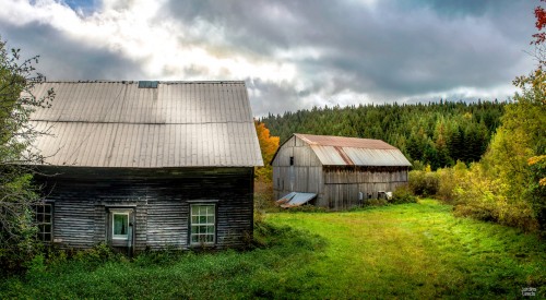 Forgotten House Jigsaw Puzzle