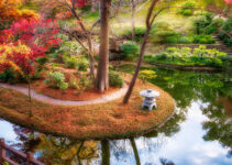 Fort Worth Garden