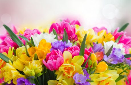 Freesias and Daffodils Jigsaw Puzzle