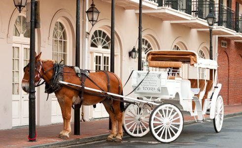 French Quarter Carriage Jigsaw Puzzle