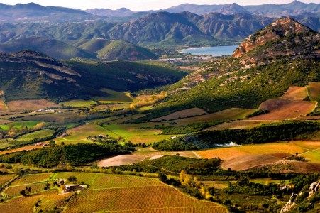 French Vineyards Jigsaw Puzzle